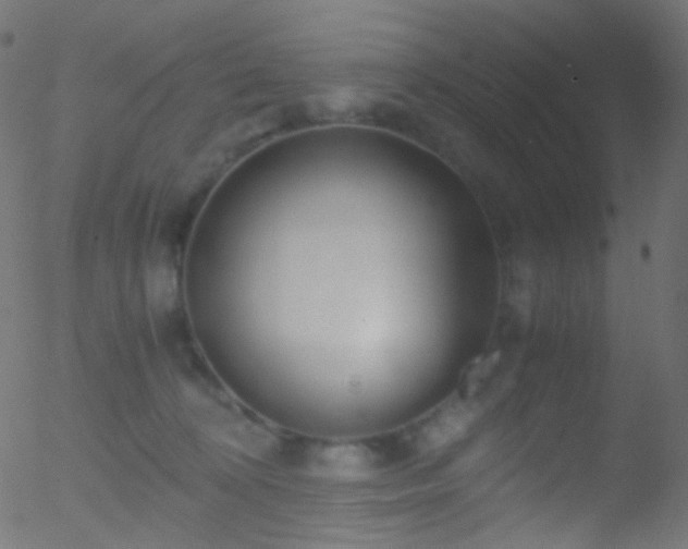 X0000052550324200507011137