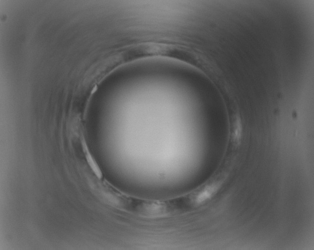 X0000052550325200507011137