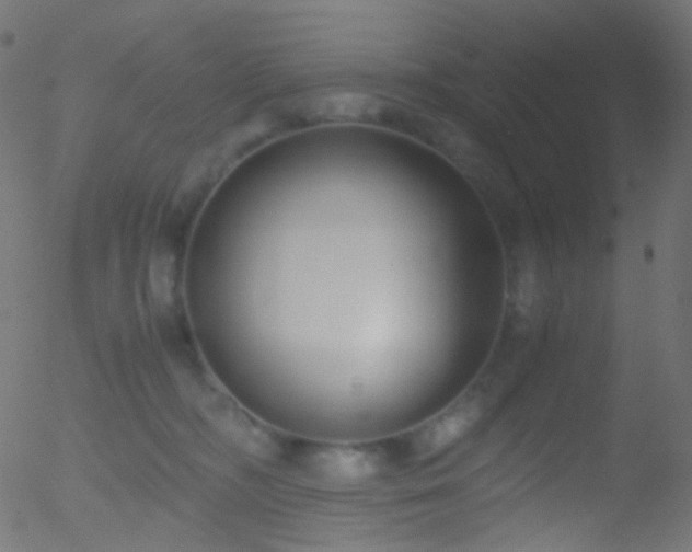 X0000052550326200507011137