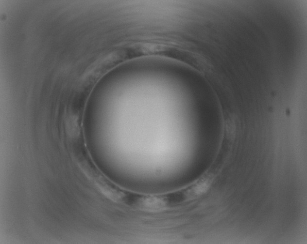 X0000052550327200507011137