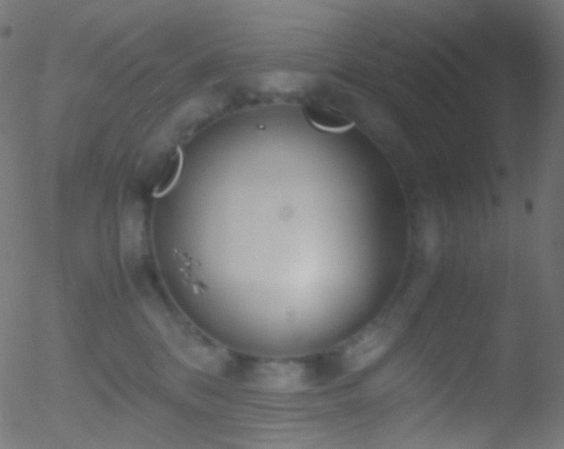 X0000052550328200507011137