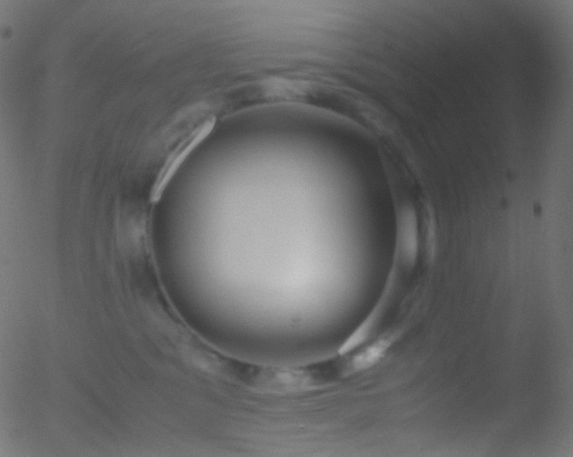 X0000052550329200507011137