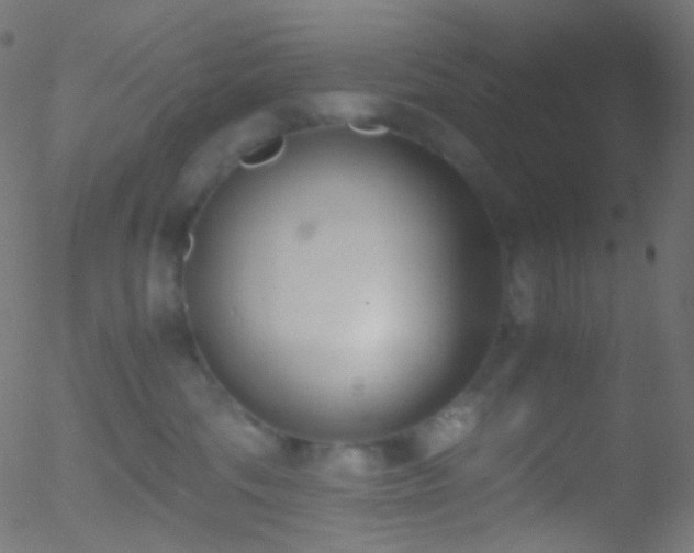 X0000052550330200507011137