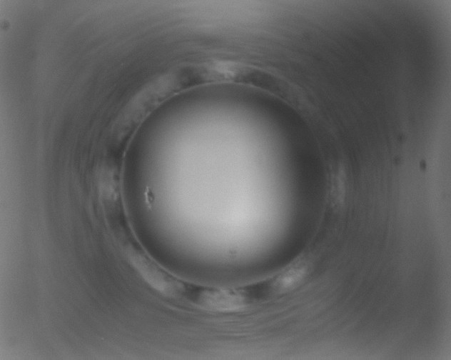 X0000052550331200507011137