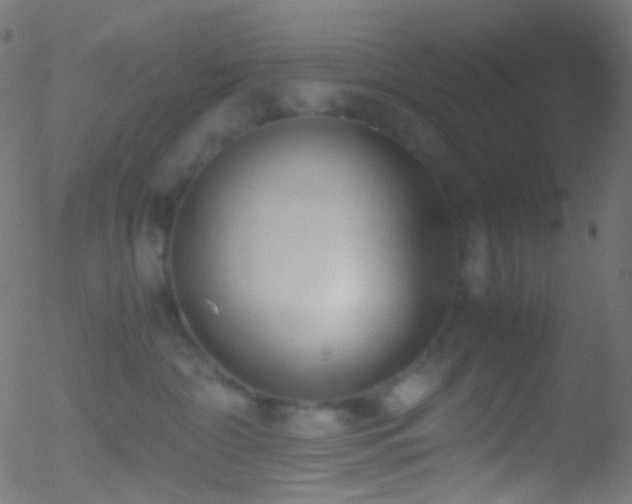 X0000052550332200507011136