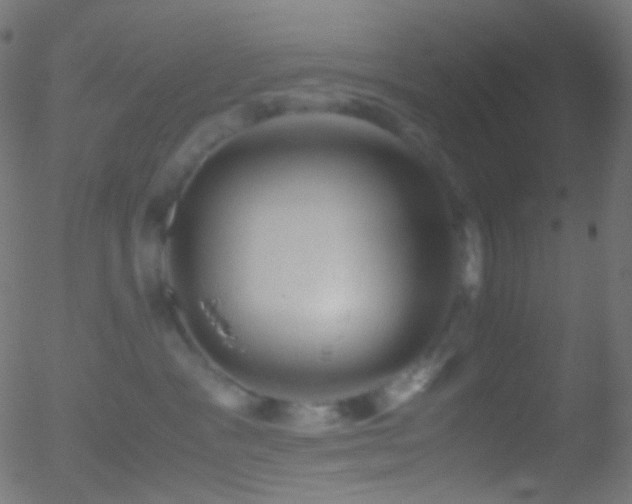 X0000052550333200507011136