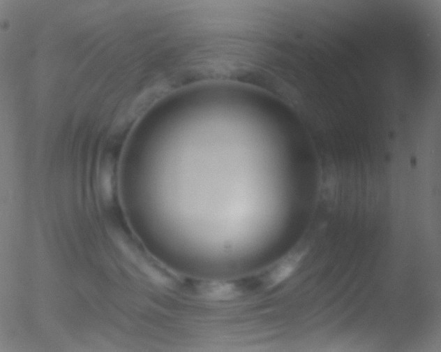 X0000052550334200507011136