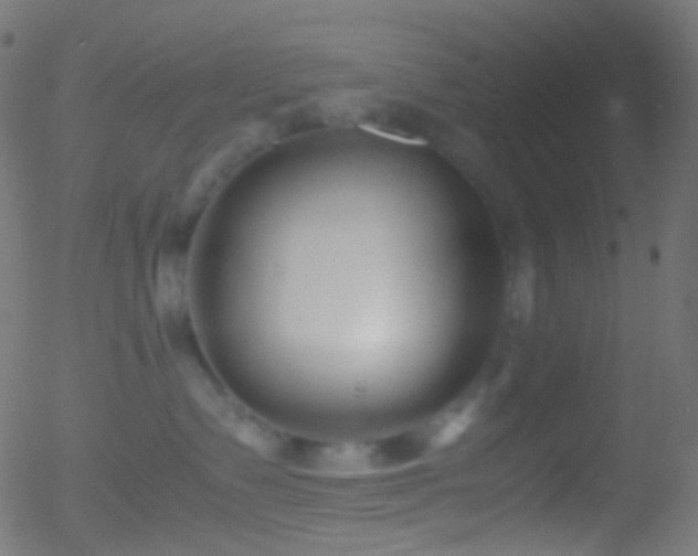 X0000052550335200507011136