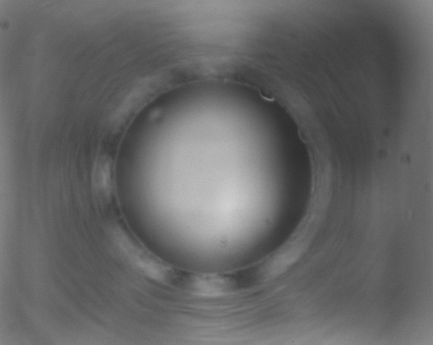 X0000052550336200507011136