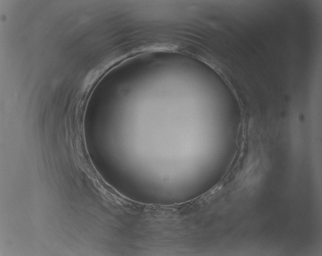 X0000052550337200507011136