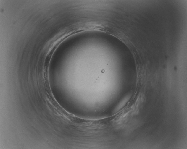 X0000052550338200507011136