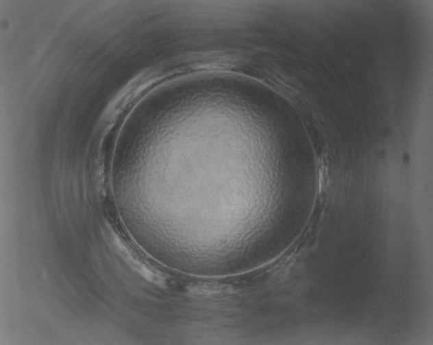 X0000052550339200507011136