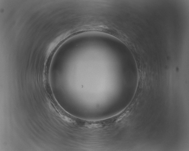 X0000052550340200507011136