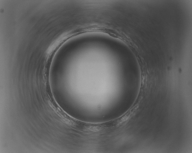 X0000052550341200507011136