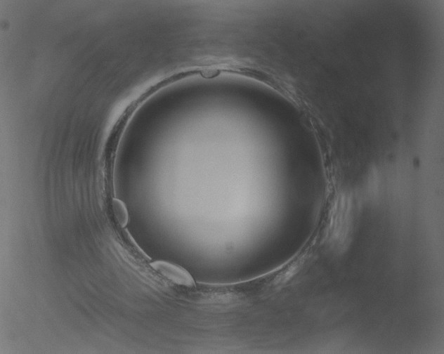 X0000052550342200507011136