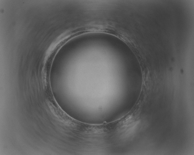 X0000052550343200507011136