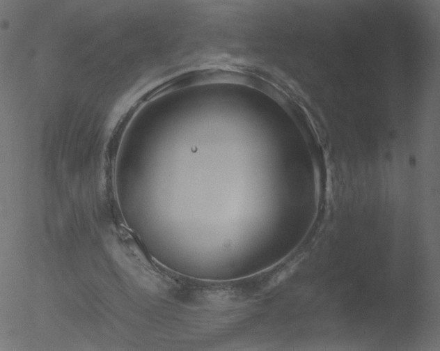 X0000052550344200507011136