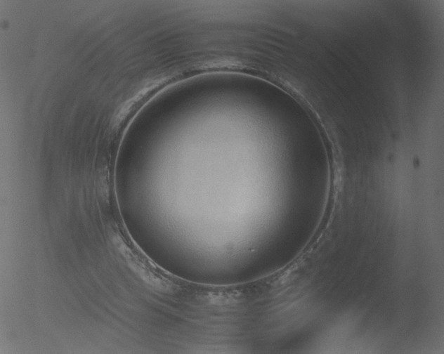 X0000052550345200507011136