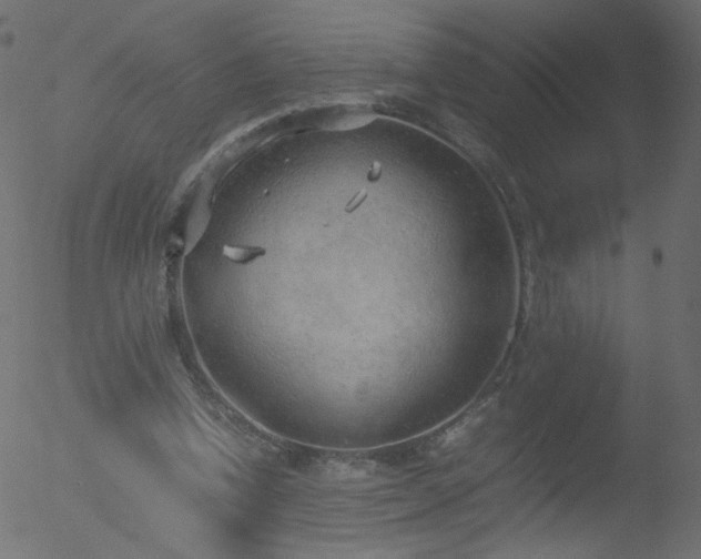 X0000052550346200507011136