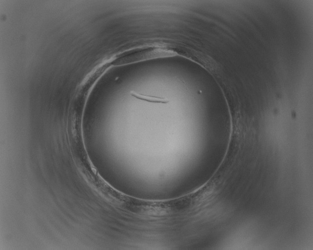 X0000052550347200507011136