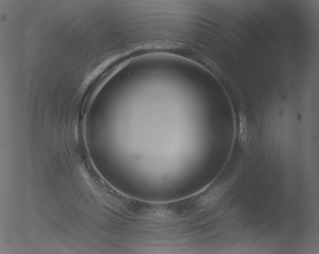 X0000052550348200507011136