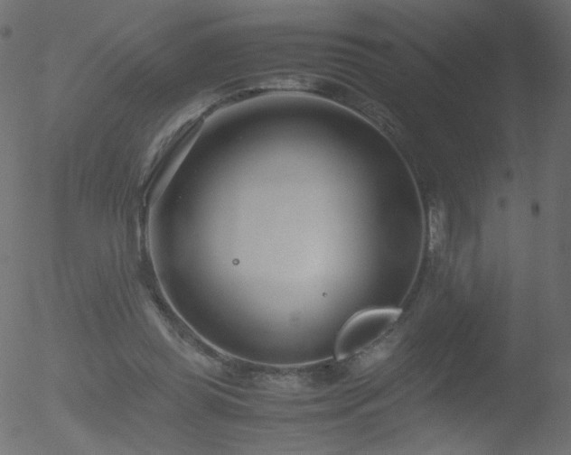 X0000052550349200507011136