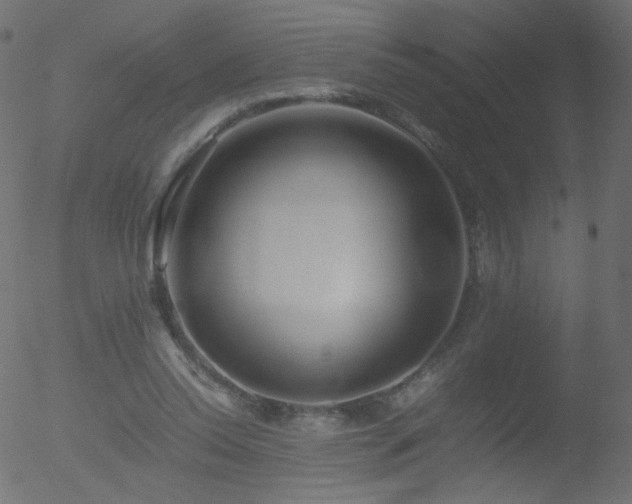 X0000052550350200507011136