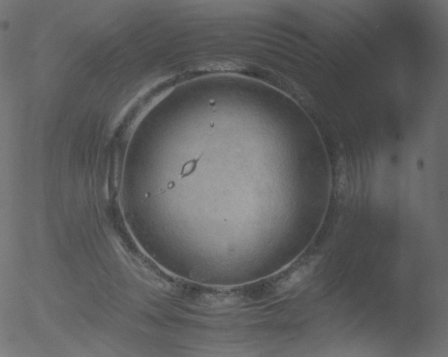 X0000052550351200507011136