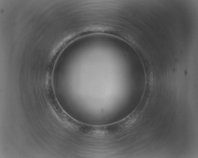 X0000052550352200507011136