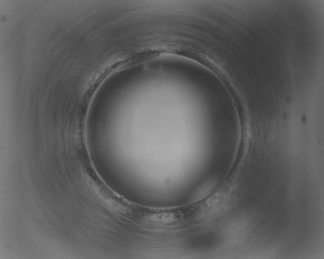 X0000052550353200507011136