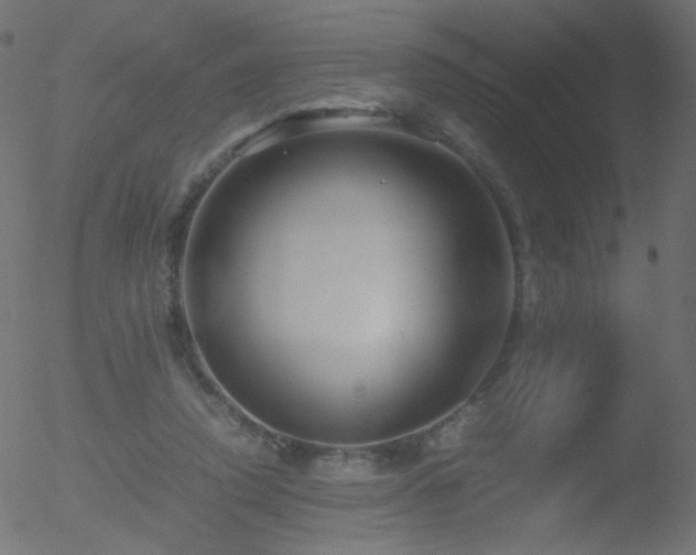 X0000052550354200507011136