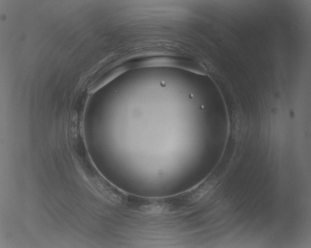 X0000052550356200507011136