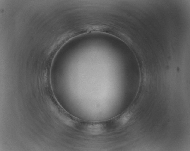 X0000052550357200507011136