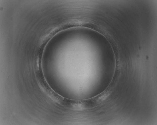 X0000052550358200507011136