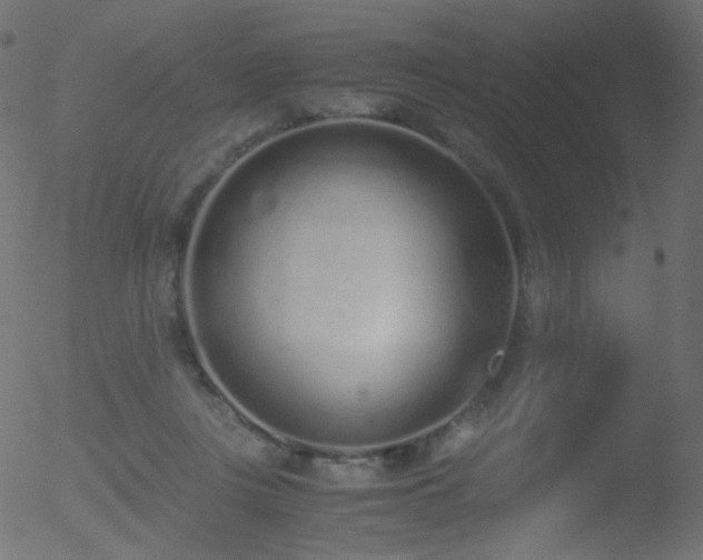 X0000052550359200507011136