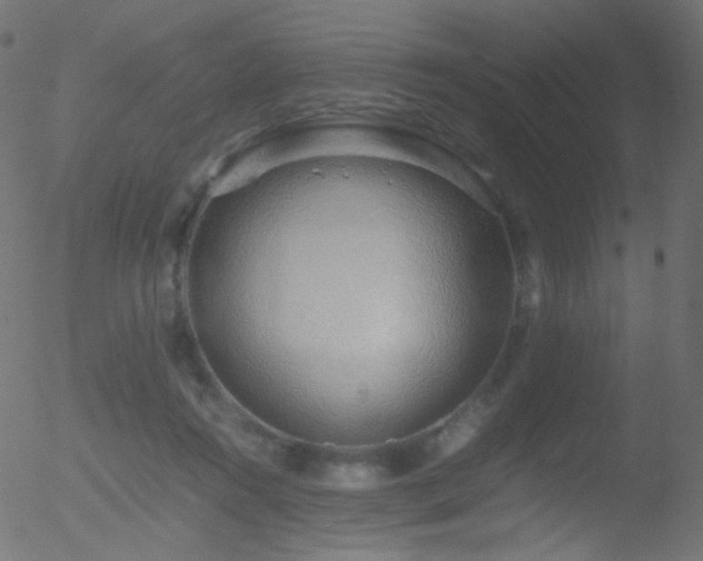 X0000052550360200507011136