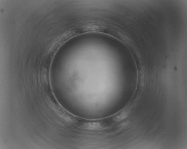 X0000052550361200507011136