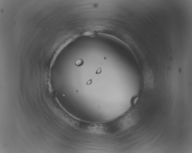 X0000052550362200507011136