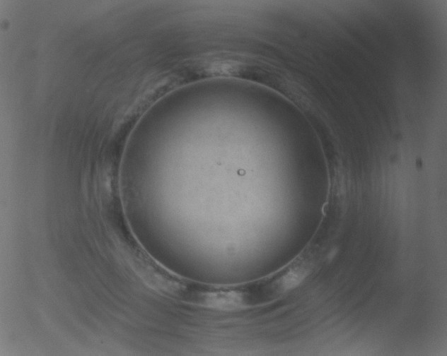 X0000052550363200507011136