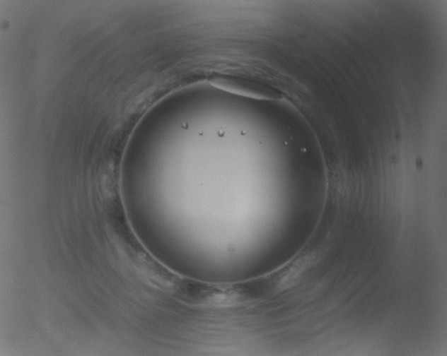 X0000052550364200507011136