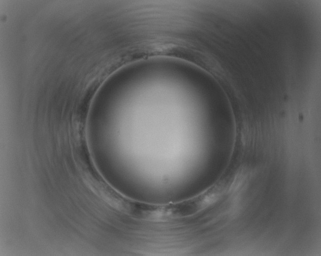 X0000052550366200507011136