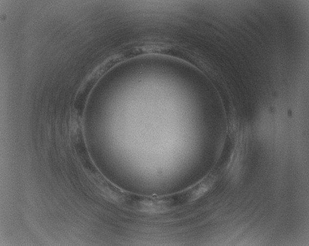 X0000052550367200507011136