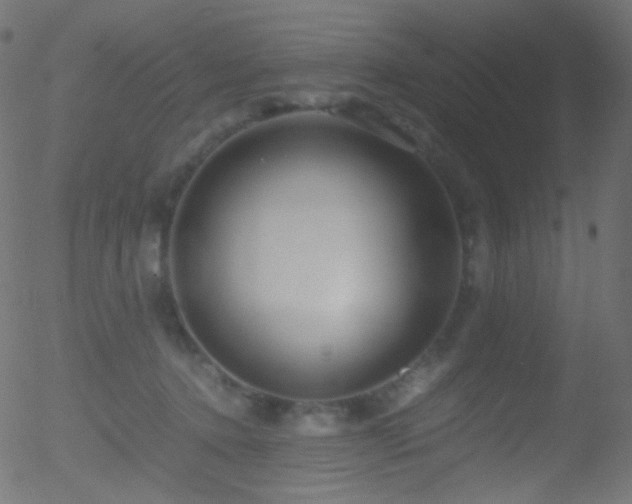 X0000052550368200507011136