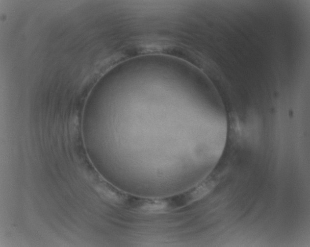 X0000052550369200507011136