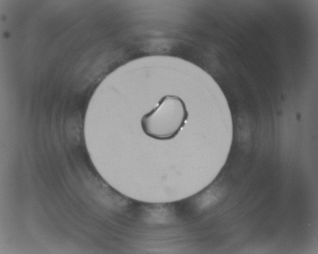 X0000052550370200507011136