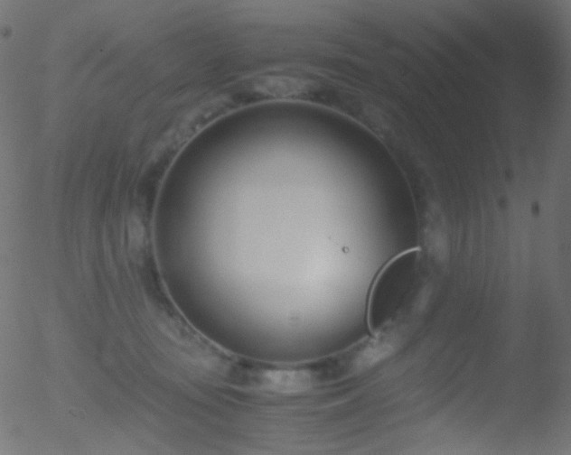 X0000052550371200507011136