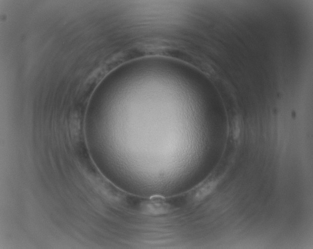 X0000052550372200507011136