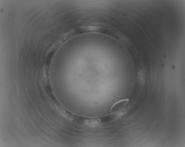 X0000052550373200507011136