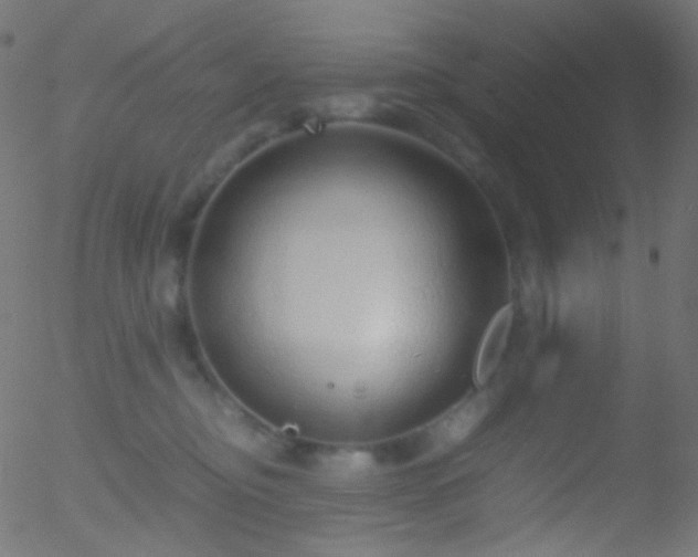 X0000052550374200507011136