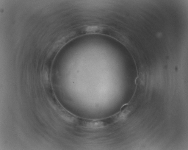 X0000052550375200507011136